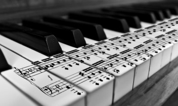 Phân Biệt Piano Solo và Đệm Hát 